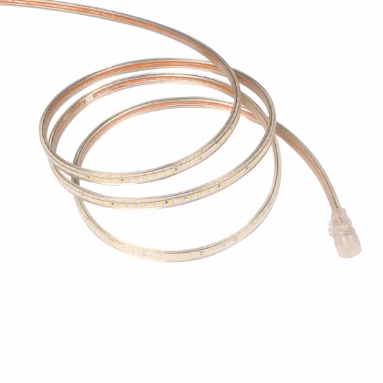 Striscia LED impermeabile Nastro LED 12V SMD 2835 3535 5050 Kit striscia di luce al neon flessibile