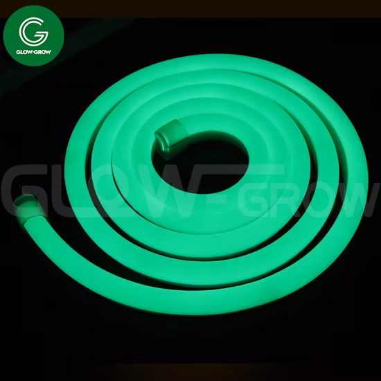 12V/24V Impermeabile IP67 8*16mm Silicone LED Luce al neon SMD2835 Striscia al neon flessibile Flex per la decorazione