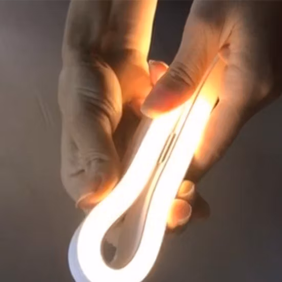 Illuminazione decorativa Striscia LED flessibile al neon in silicone IP67 CCT RGB RGBW