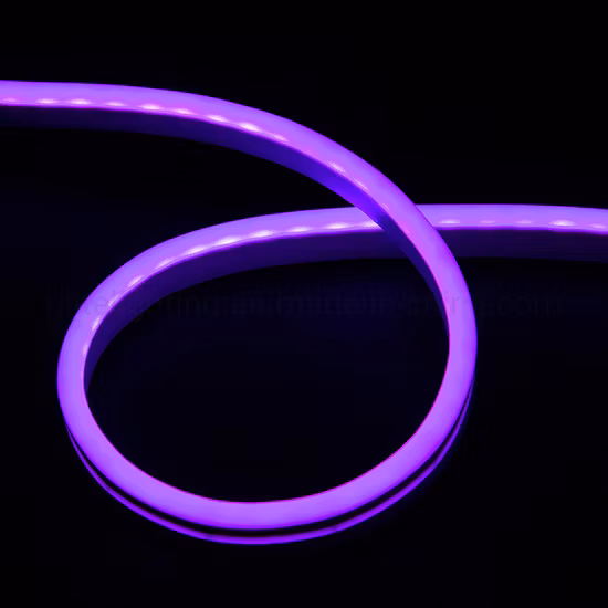LED Neon Flex 120LED/M IP65 ad alta luminosità per illuminazione decorativa