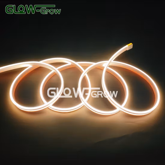 CE RoHS 5*10mm Dimensioni 24V Luce di striscia bianca calda LED Neon Flex per la decorazione del festival delle vacanze di Natale